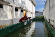 Dukung 13 Program Akselerasi, Kalapas Martapura Tebar 5000 Benih Ikan