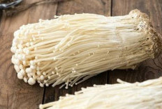 Menjaga Kesehatan Jantung dengan Mengonsumsi Jamur Enoki