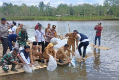Pemkab OKU Selatan Tebar 110 Ribu Bibit Ikan
