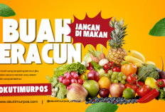 Daftar 7 Buah Paling Beracun di Dunia, Manusia Jangan Konsumsi!