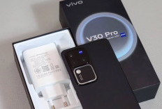 Adu Spesifikasi dan Harga: Xiaomi 13T Vs Vivo V30 Pro 5G, Mending Siapa?