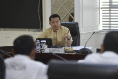Wamenpora Inginkan Peringatan Hari Sumpah Pemuda 2025 di Palembang Berlangsung Sukses
