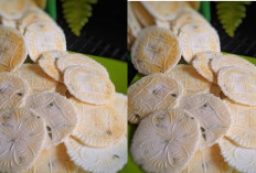 Resep Simping Mini yang Gurih 