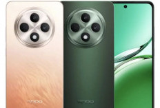 Harga Oppo Reno12 F 5G: Smartphone Mid Range RAM 12GB