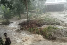 Himbau Pengguna Jalan Waspada Lintasi Jalan di Simpang Tiga Perkim