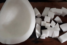 Santan, Rahasia Kelezatan dalam Pembuatan Kue Tradisional