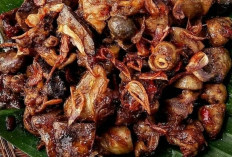 Sangat Mudah! Resep Gongso Ati Ampela Dijamin Enak