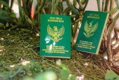 PPPK OKU Gugat Cerai Suami Mengalami Peningkatan