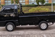 Inilah Alasan Mengapa Mobil Pick Up L300 Menjadi Andalan Pengusaha