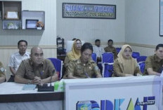 Pemkab OKU Selatan Ikuti Sosialisasi MCP