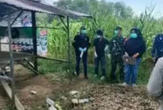 Mayat Pria Tanpa Identitas Ditemukan di Pondok Kebun Jagung OKU Selatan