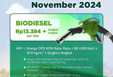 HIP BBN Biodiesel Bulan November 2024 Dipatok Rp13.384 per Liter