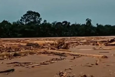 Banjir Sumatera, Kemenhut Temukan Indikasi Pembalakan Ilegal di Hulu DAS