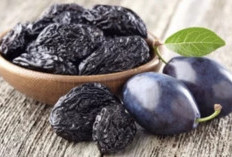  Buah Prune Bisa Menjadi Salah Satu Pilihan Alami yang Memiliki Banyak Manfaat untuk Kesehatan Pencernaan