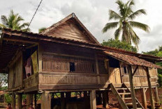 4 Wisata Alam yang Worth It untuk Libur Lebaran di Kabupaten Way Kanan