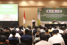 Hadapi Musim Kemarau, Herman Deru dan Menteri LHK Konsolidasikan Kesiapsiagaan Karhutla di Sumsel
