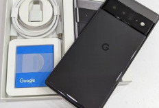 Review Google Pixel 6 Pro: Bawa Spesifikasi Gahar dengan Keunggulan Kamera Utama 50 MP 