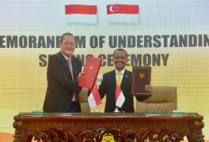 Bangun Panel Surya hingga Kawasan Industri Hijau, Indonesia–Singapura Gelontorkan USD10 Miliar