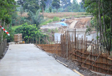 Resmikan Jalan Desa Karang Agung - Desa Trans Lubar