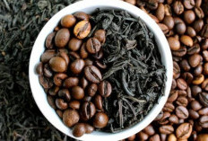 Apakah Lebih Sehat Minum Kopi Hitam atau Teh? Yuk Simak Penjelasannya