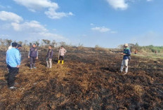 Karhutla Landa OKI, Lahan Gambut di Pedamaran Timur Terbakar