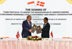 Indonesia-Denmark Sepakati Perluasan Kerja Sama Energi