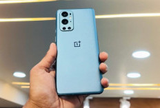 OnePlus 9 Pro: Kamera Hasselblad Pertama di Dunia Smartphone, Jadikan Foto Anda Masterpiece