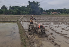 Cuaca Tak Menentu, Petani di Martapura OKU Timur Optimis  Garap Sawah 