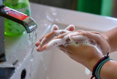 8 Tips Sederhana Terhidar dari Penyakit, Awali dengan Cuci Tangan