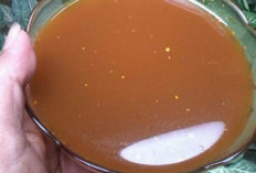 Intip Resep, Membuat Jamu Mengkudu Pandan, untuk Meredakan Asam Urat Secara Alami