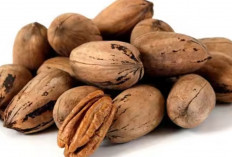 Kacang Pecan: Solusi Alami untuk Mengatasi Penuaan Dini