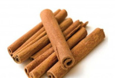 Bahan Herbal Bantu Mengontrol Kadar Gula Darah, Bisa Ada Didapur