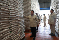 Prabowo Sidak Gudang Bulog Magelang, Wamentan Pastikan Stok Beras Nasional Aman