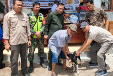 Sudah ada Korban, Dinas Peternakan OKU Selatan Ingatkan Untuk Vaksin Hewan Peliharaannya