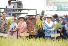 Berhasil di Bidang Pertanian, Bupati OKU Timur Diganjar Penghargaan dari Kementerian