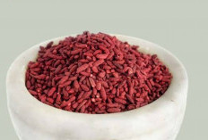 Selain Tape, Ternyata Angkak Merah Hasil dari Fermentasi yang Memiliki Khasiat Luar Biasa untuk Kesehatan 