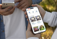 LinkUMKM, Platform Digital BRI Yang Telah Dimanfaatkan 12,9 Juta UMKM Untuk Naik Kelas