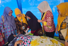 Kelurahan Dusun Martapura Gelar  Pemberdayaan KB