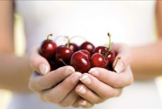 Tips Mencegah Penuaan Dini dengan Mengonsumsi Buah Ceri