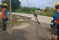 PLN ULP Baturaja Tindaklanjuti Laporan Kabel Listrik Turun