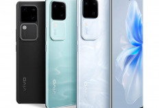 Spesifikasi Vivo S18 Pro dengan Keunggulan RAM 12 GB