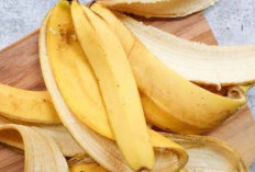 Kulit Pisang: Limbah Dapur yang Bisa Jadi Bahan Alami Merawat Kulit Wajah