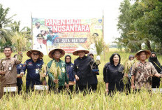 Tingkatkan Bidang Pertanian, Bupati OKU Timur Optimalisasi Lahan Tidur