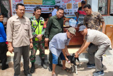 Dinas Peternakan OKU Selatan Himbau Untuk Vaksin Rabies Anjing Peliharaannya