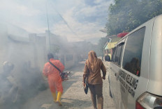 Puskesmas Muaradua Lakukan Fogging, Upaya Cegah DBD