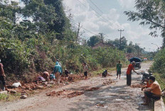 Gotong Royong Tampal Jalan Berlobang