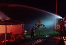 2 Rumah di OKU Selatan Dilahap Sijago Merah