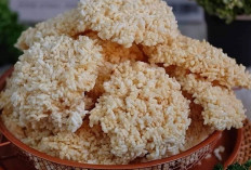 Resep Rengginang, Makanan Tradisional Cocok Cemilan Keluarga