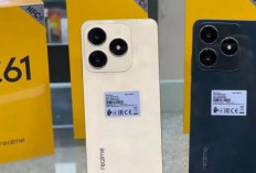 realme C61: Hp Terbaru Harga 1 Jutaan, RAM 8 GB, Layar Lebar dengan Desain Minimalis dan Tipis