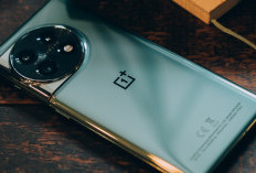 OnePlus 11 5G: Layar 120Hz Ultra Smooth dan Baterai Tahan Seharian